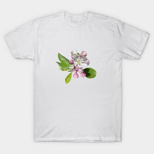 Blossom in delicate shades of pink T-Shirt